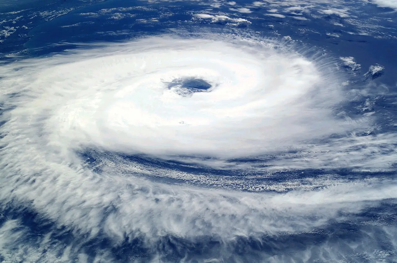 Hurricanes destroy gates - options to save yours