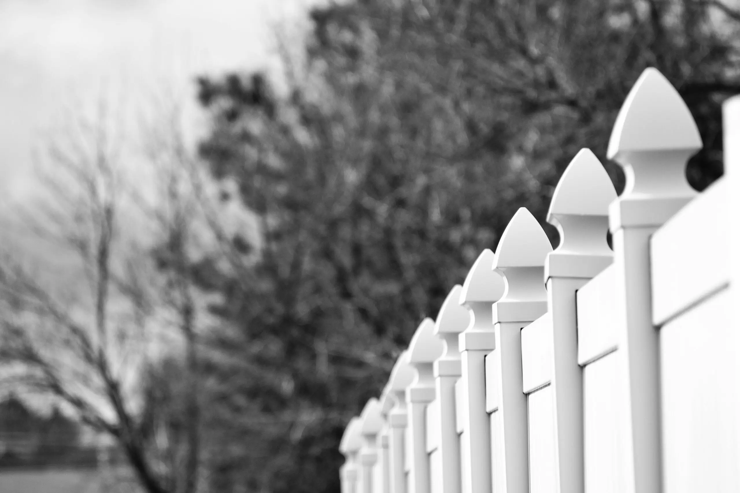 Vynil Privacy Fence