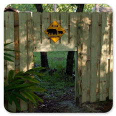 Shadowbox Wood Privacy Fence Bear Door